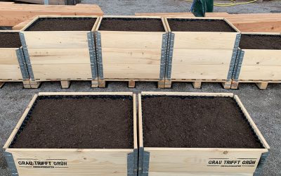 Erste Hochbeete auf dem Kragen