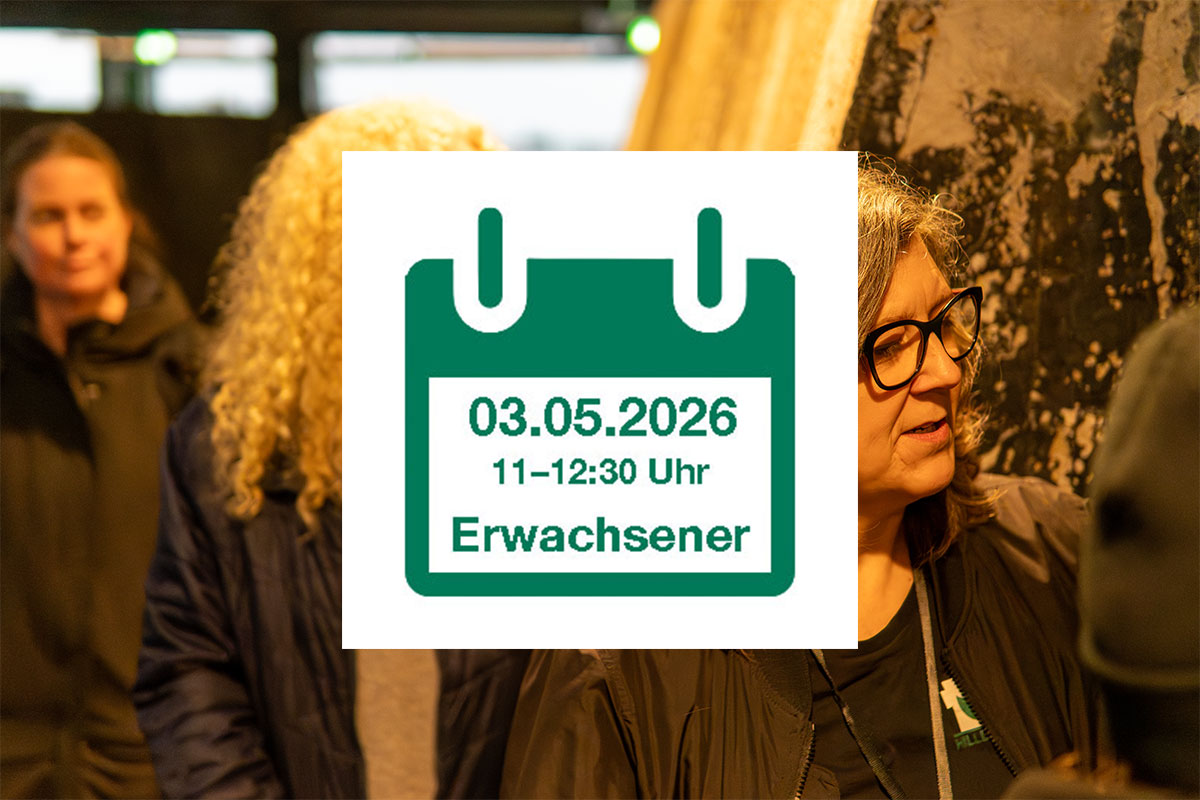 Öffentliche Führung 3. Mai 2026 - Erwachsener
